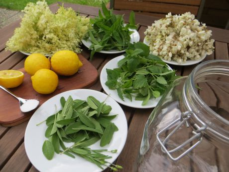 Zutaten f&uuml;r selbstgemachten Kr&auml;utersirup