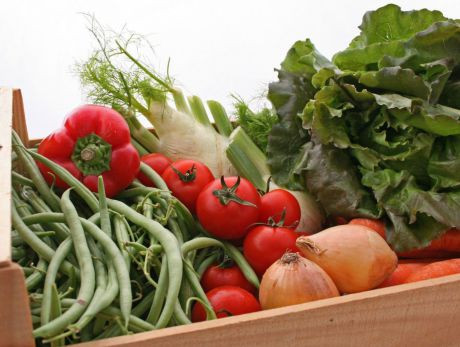 bunt gef&uuml;llte Gem&uuml;sekiste mit Tomaten, Fisolen und Salat