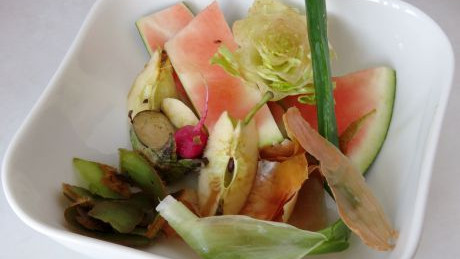 Teller mit Bioabfall