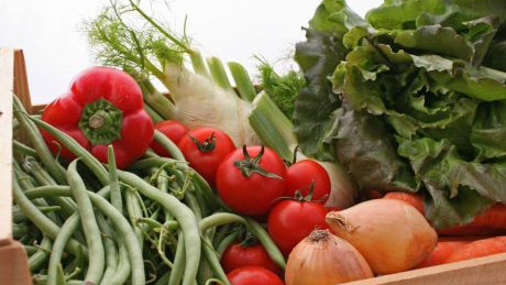 bunt gef&uuml;llte Gem&uuml;sekiste mit Tomaten, Fisolen und Salat