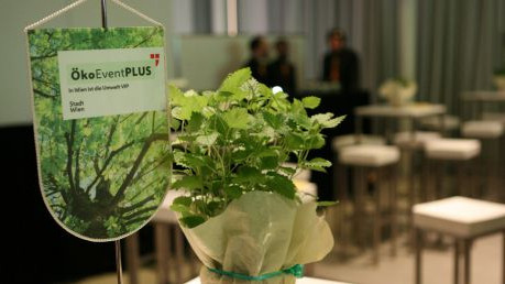 &Ouml;koEvent Tischwimpel und Topf mit Zitronenmelisse