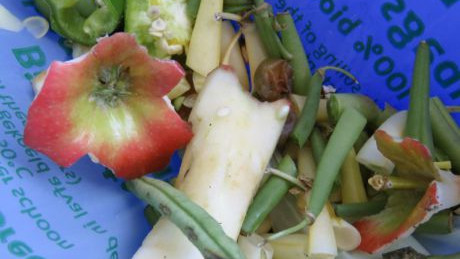 Bio-Müll im Haushalt