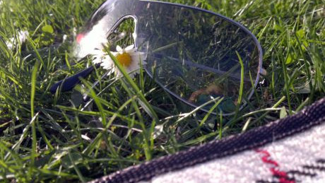 Urlaub auf der Wiese