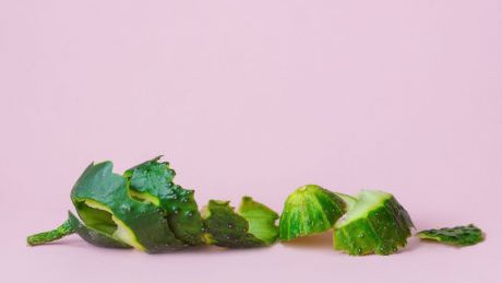 geschnittene Gurke und Gurkenschale