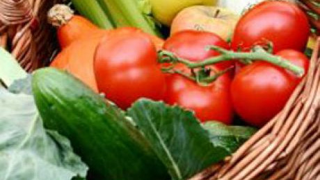 Obst und Gem&uuml;se im Korb