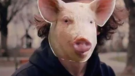 Sei kein Schweindl! Zombie-Filme der MA 48