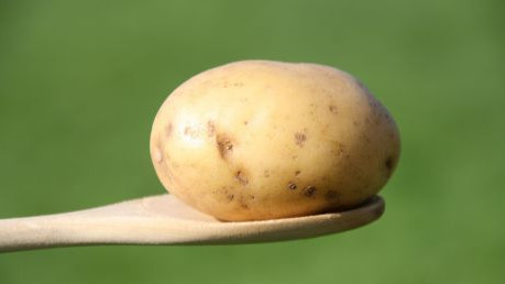 Erd&auml;pfel auf einem Kochl&ouml;ffel