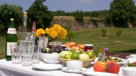 Appetitliches und robustes Geschirr, Mehrweg-Glasflaschen und frisches regionales Obst -  f&uuml;r wenig Mist und zufriedene G&auml;ste