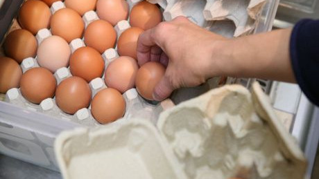 Eiertasse in der mass-greisslerei.at