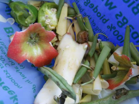 Bild vergrößern Bio-Müll im Haushalt