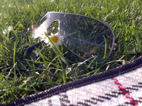 Urlaub auf der Wiese