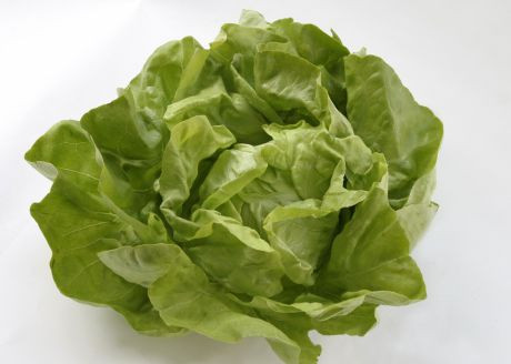 H&auml;uptelsalat