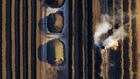 Bild vergrößern MA 48: Herstellung von Kompost in großem Maßstab