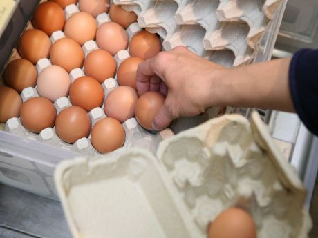 Eiertasse in der mass-greisslerei.at